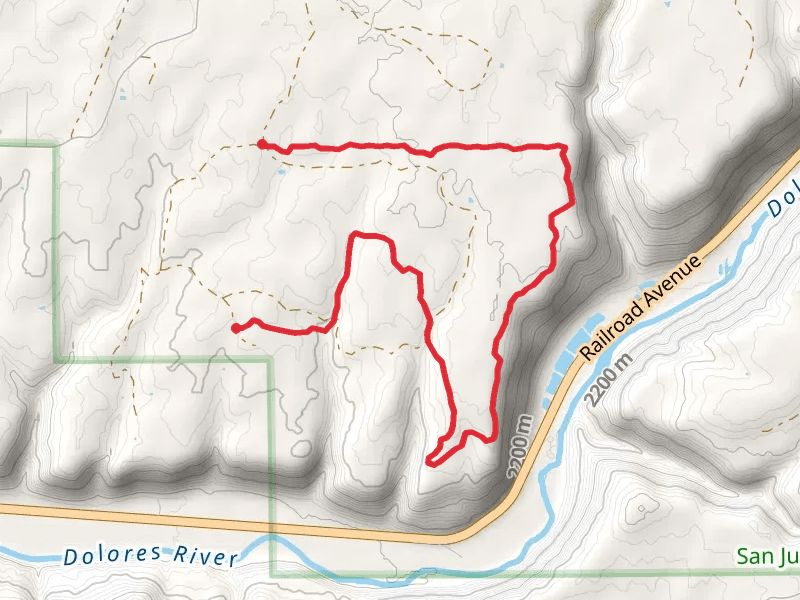 Italian Canyon Trail