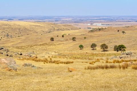 The Barossa Trail