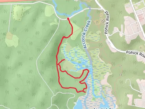 Marsh Overlook and McCarthy Loop Trail