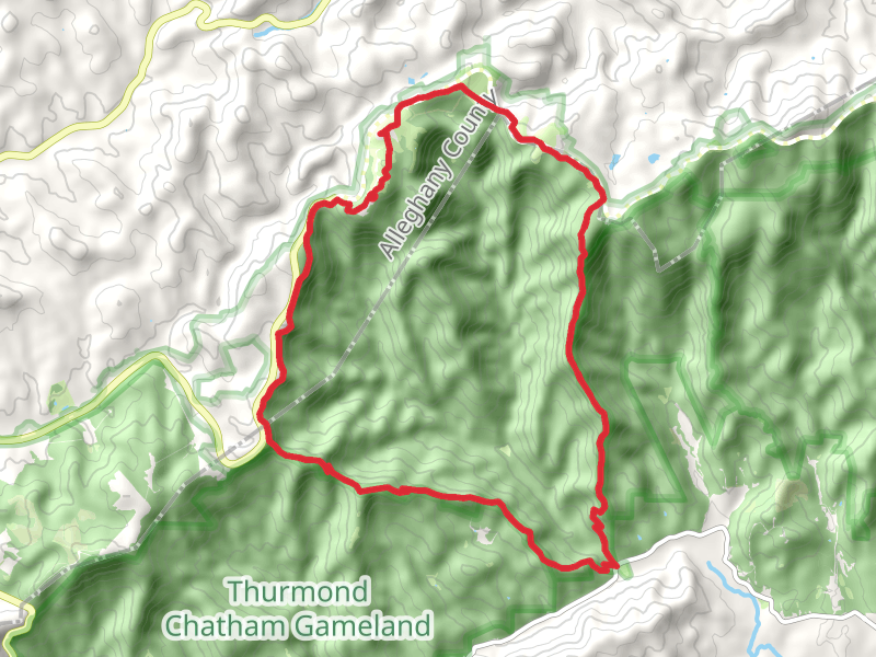 Bluff Mountain and Cedar Ridge Loop Trail