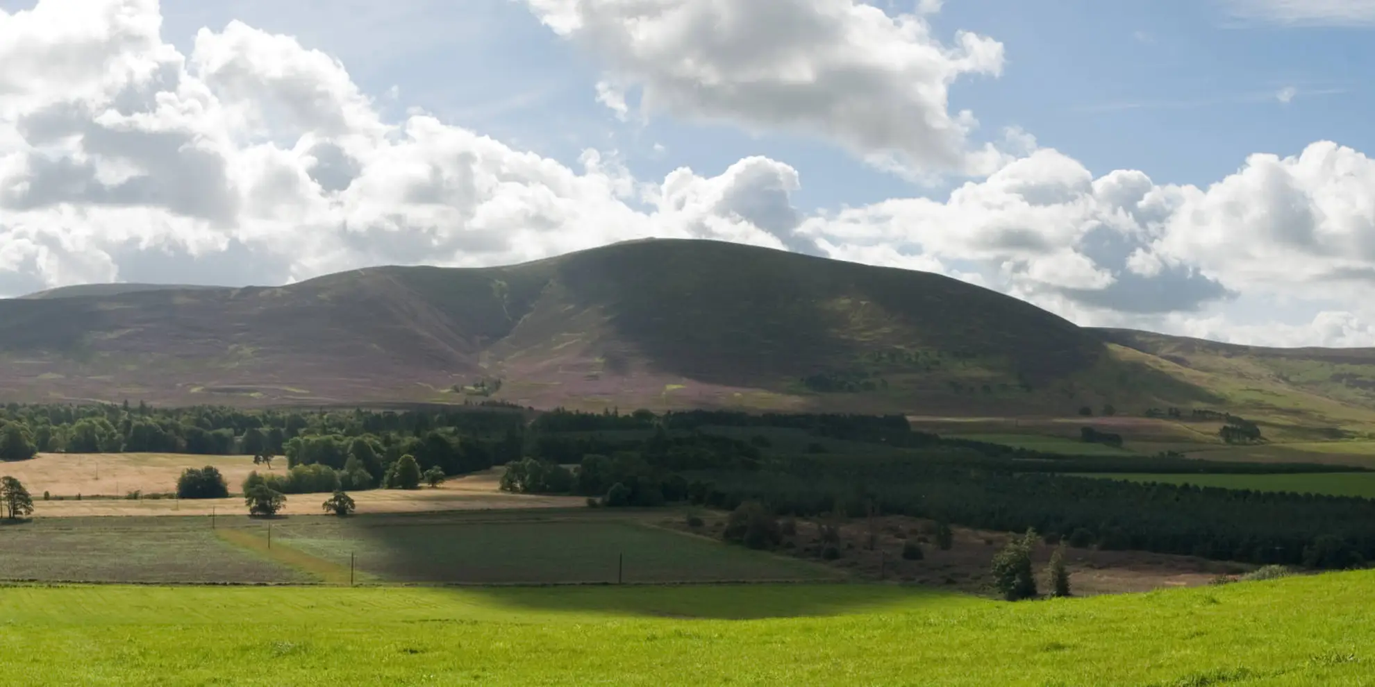 An image depicting the trail Tinto - northern approach and its surrounding area.