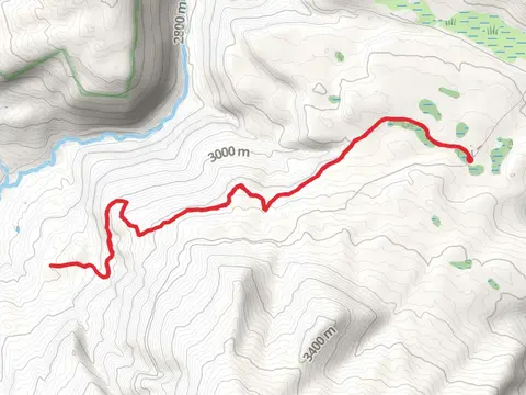 Winter Trail