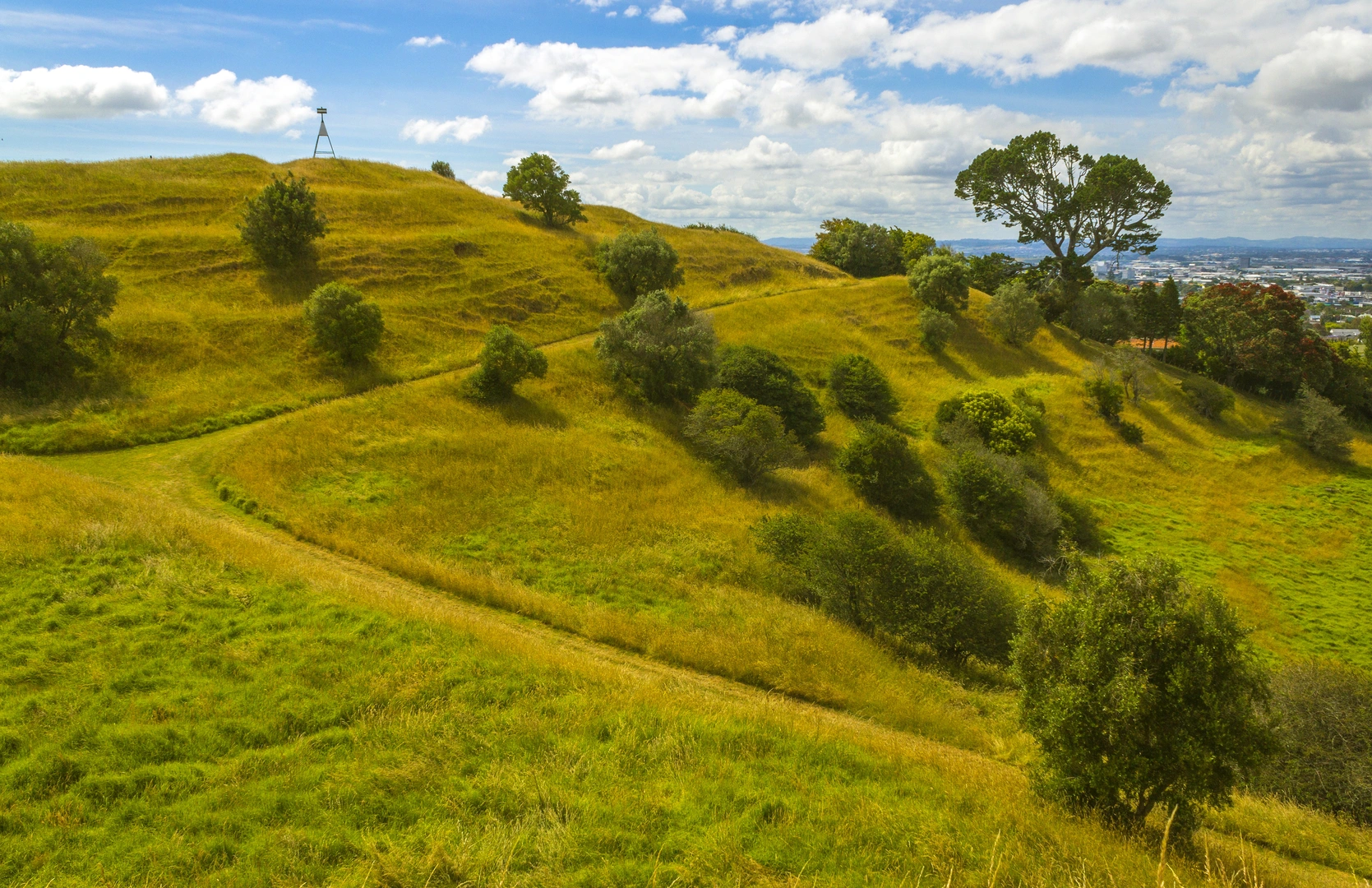 An image depicting the trail Hirakimata - Mt Hobson Summit Track and its surrounding area.