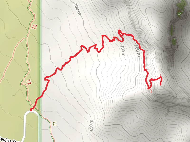 Wind Cave Trail
