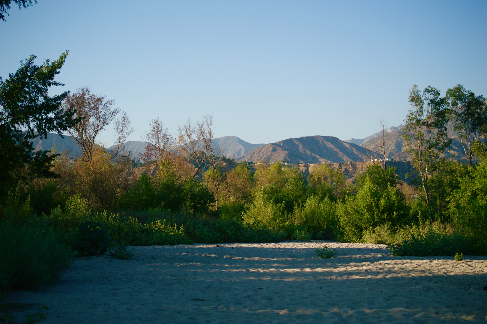 An image depicting the trail Fern Truck and El Prieto Loop Trail and its surrounding area.