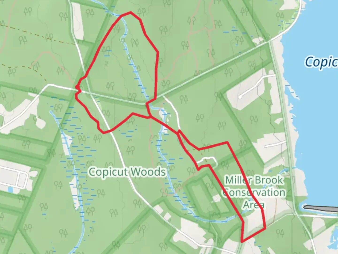 An image depicting the trail Miller Brook - Costa Mello Loop and its surrounding area.