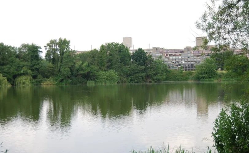 Earlham Park and University of East Anglia Broad Loop