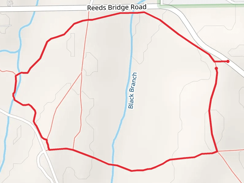 Reeds Bridge Road Loop - West