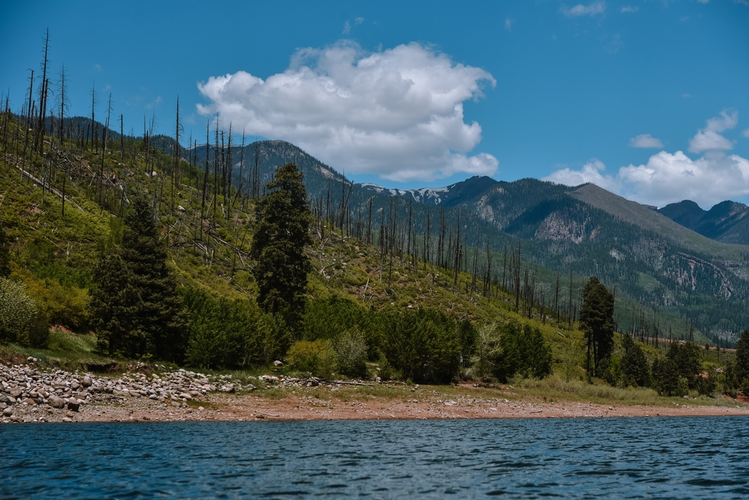 East Creek Trail