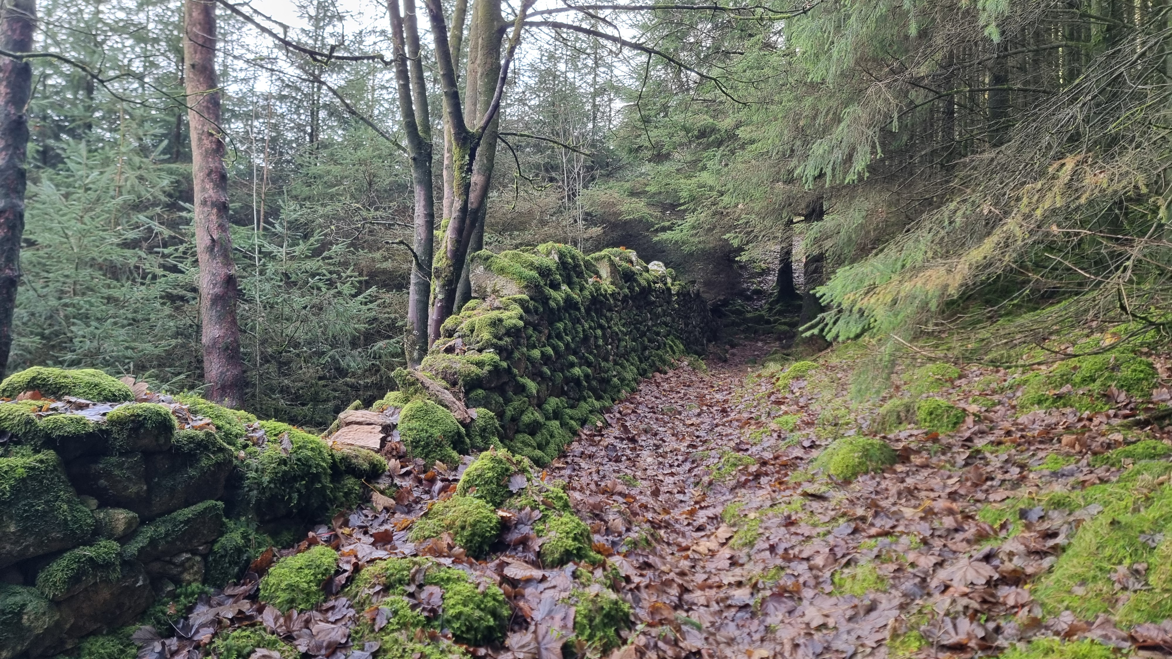 A map preview of the recording Ravensdale old walls.