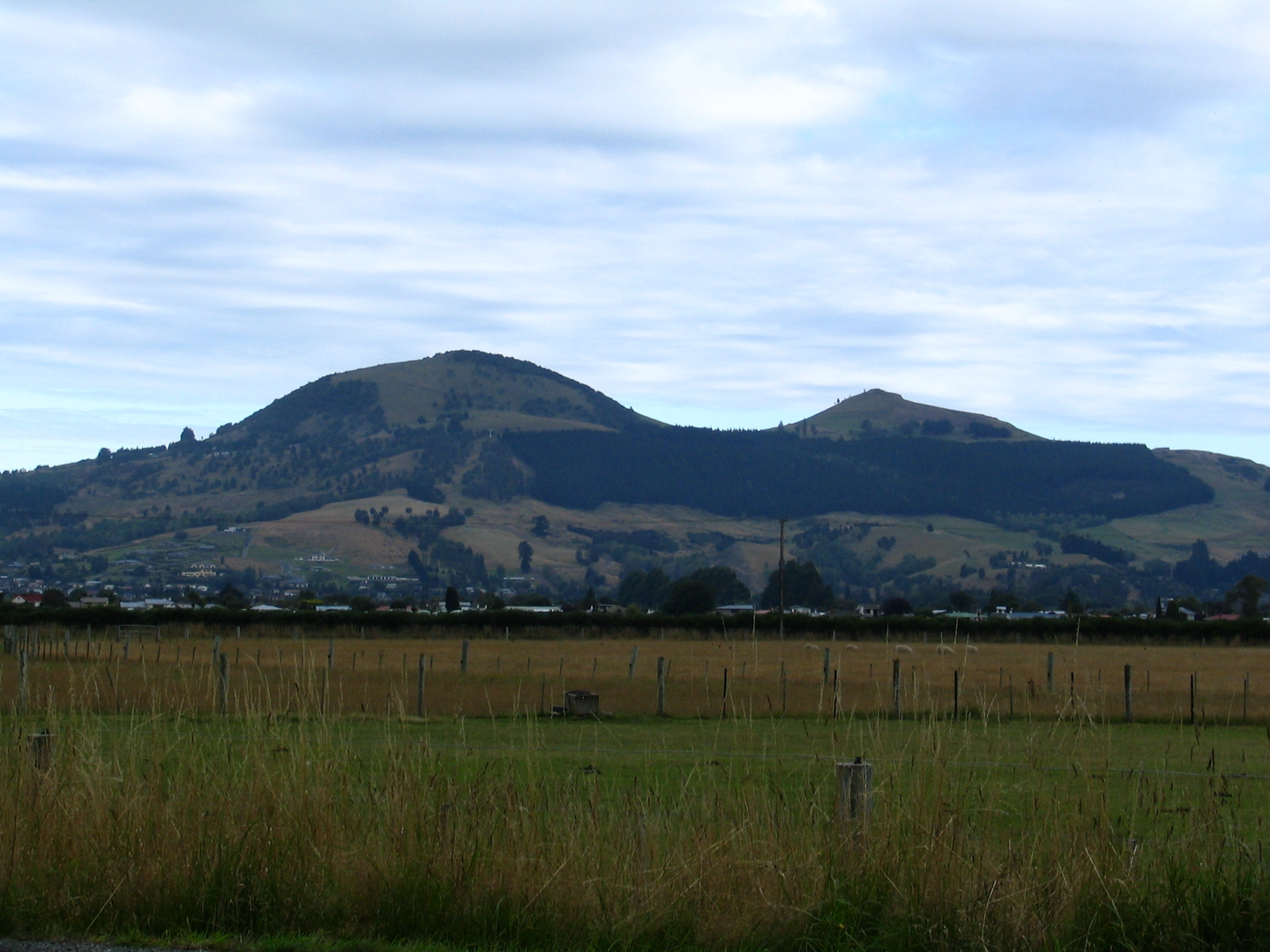 An image depicting the trail Saddle Hill Summit Track and its surrounding area.
