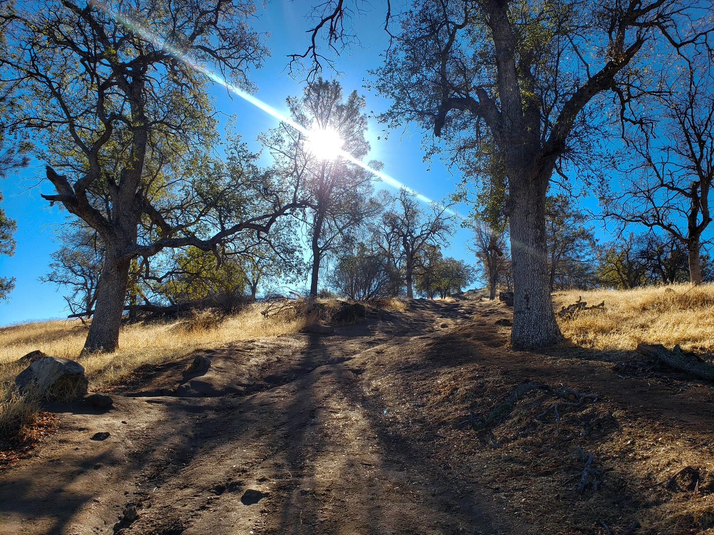 An image depicting the trail Pincushion Mountain via Pincushion Peak Trail and its surrounding area.