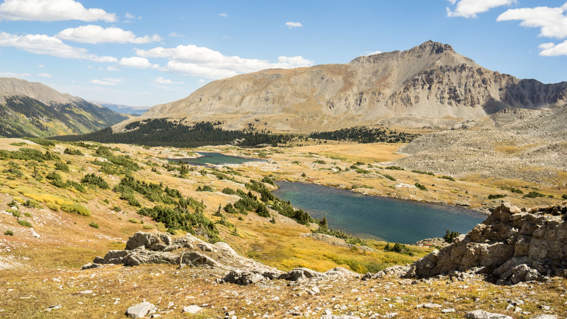An image depicting the trail Twobit Gulch Trail and its surrounding area.