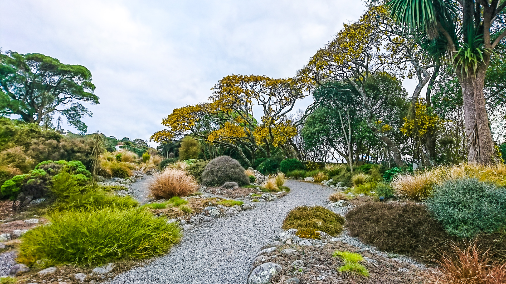 An image depicting the trail Otari - Wilton to Botanical Gardens and its surrounding area.