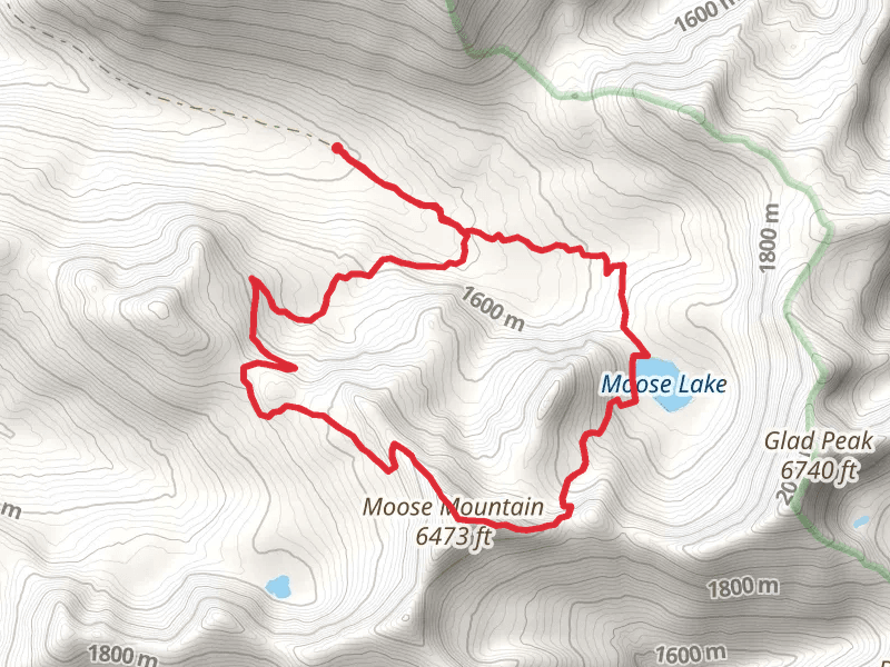 Moose Mountain Loop via Moose Lake Trail
