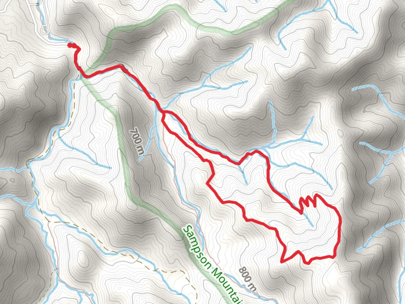 Turkey Pen Cove Trail Loop
