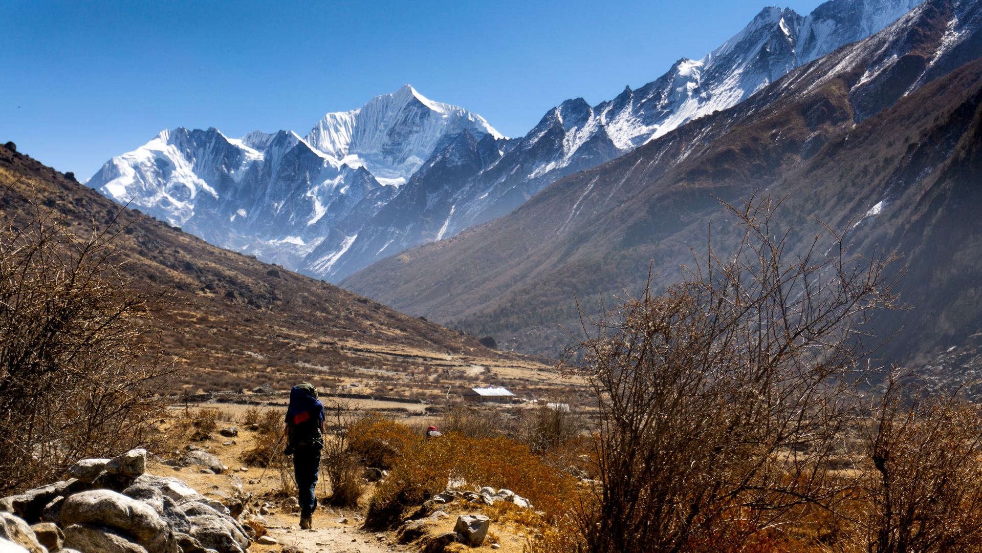 An image depicting the trail Langtang Trek and its surrounding area.
