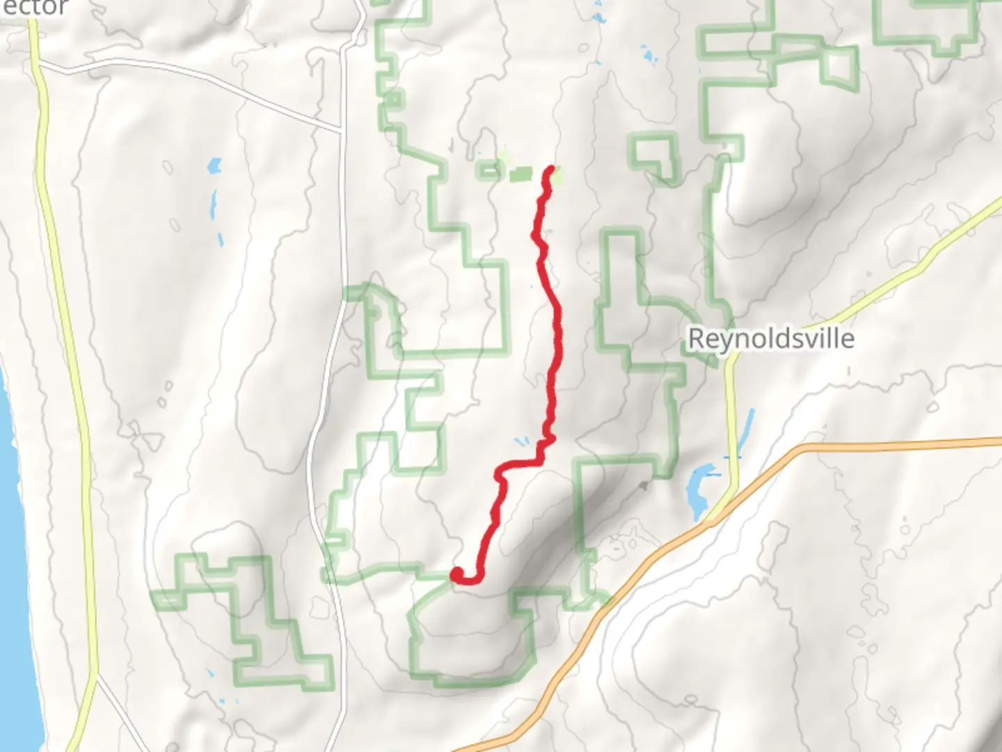 An image depicting the trail Blueberry Campground via Interloken Trail and its surrounding area.