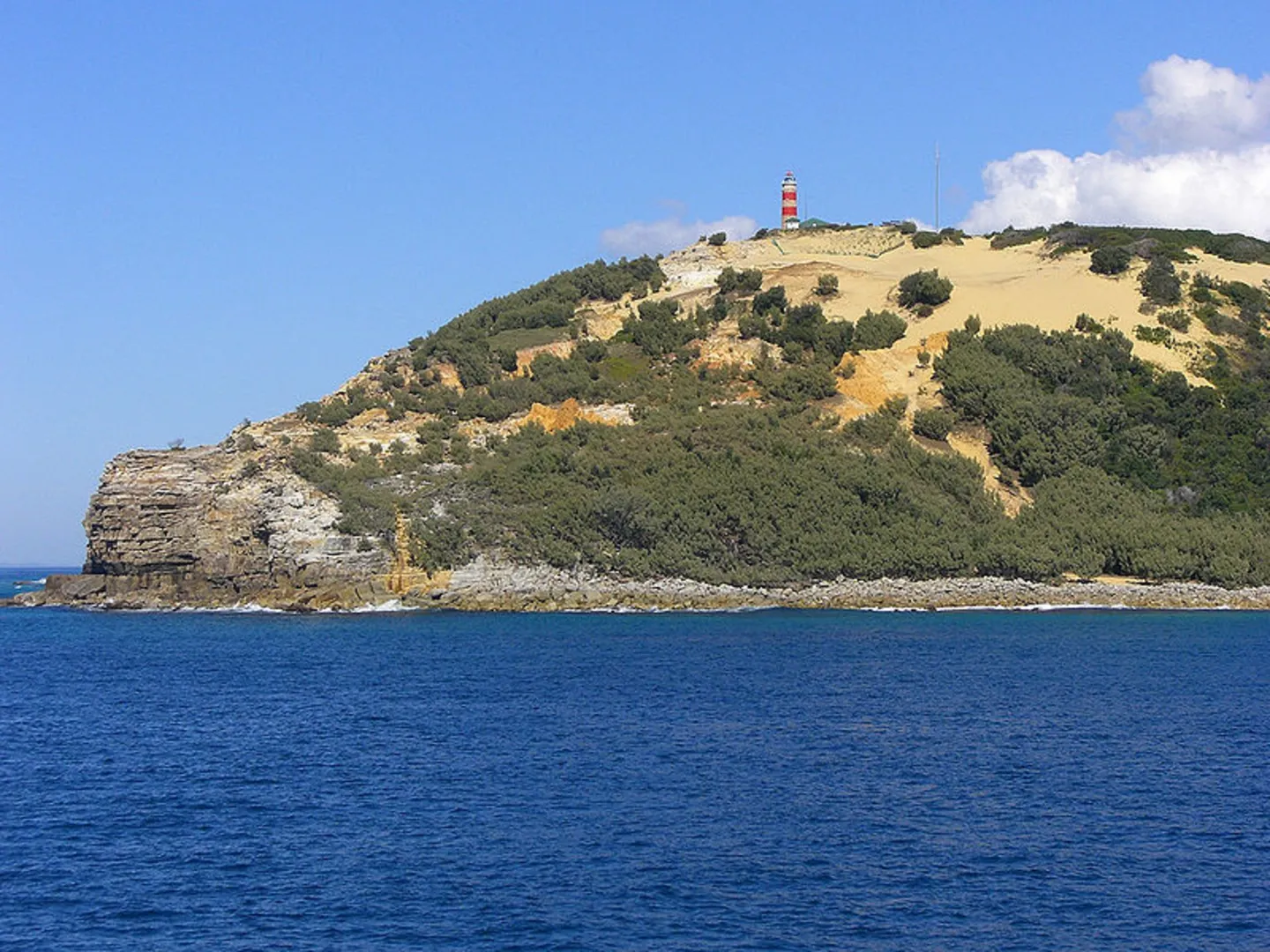 An image depicting the trail Telegraph Walking Track and its surrounding area.