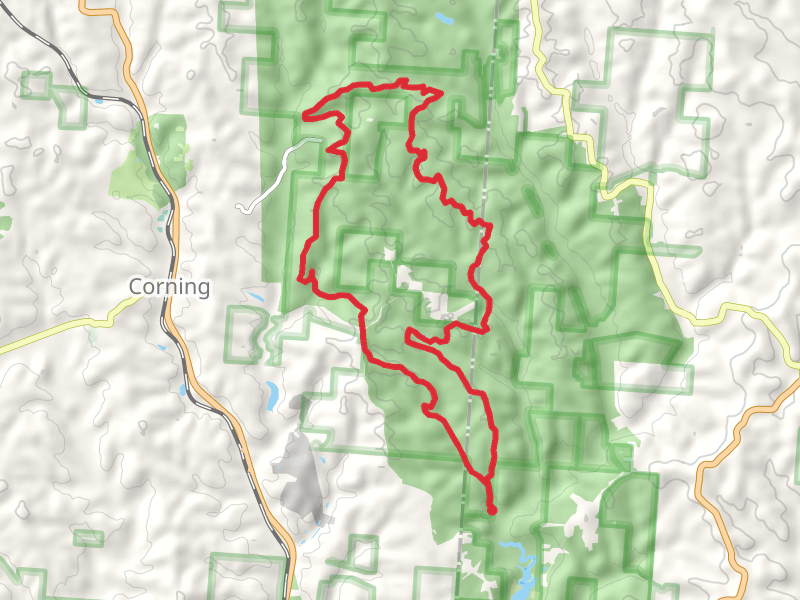 Wildcat Hollow Loop Trail