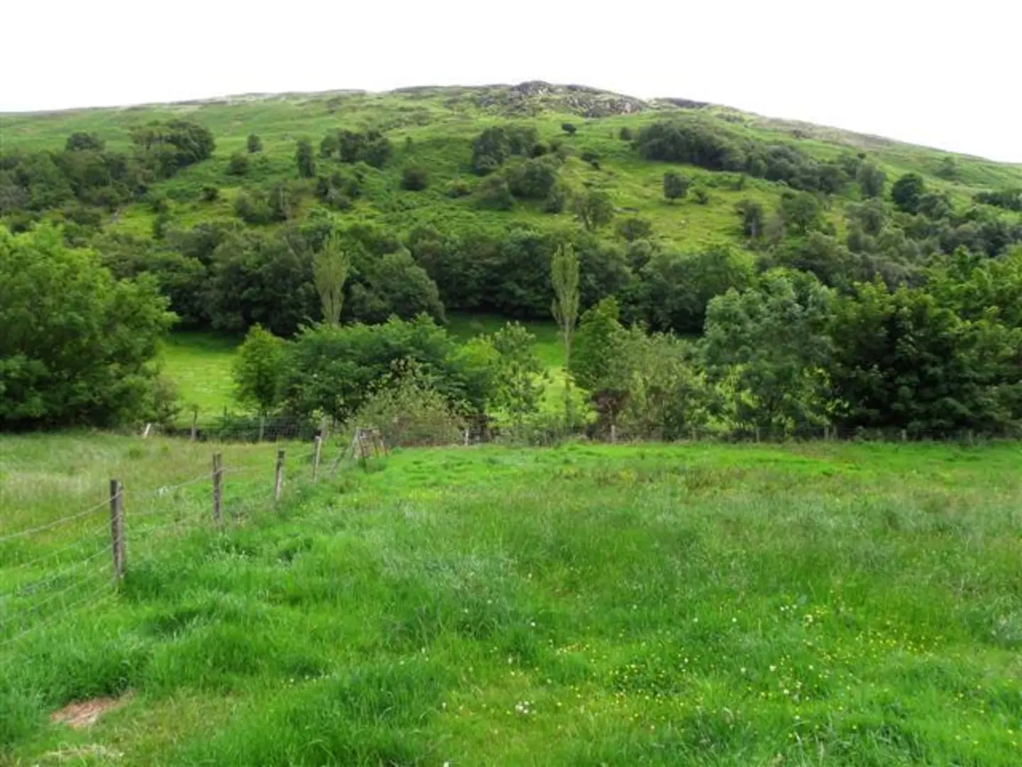 An image depicting the trail Crockaneel Mountain and its surrounding area.