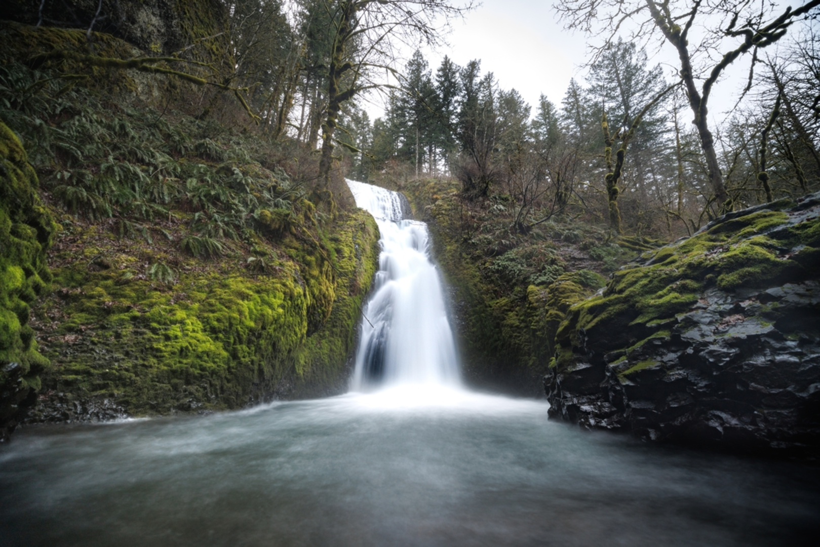 An image depicting the trail Angel's and Devil's Rest, Bridal Veil and Coopey Falls Loop and its surrounding area.