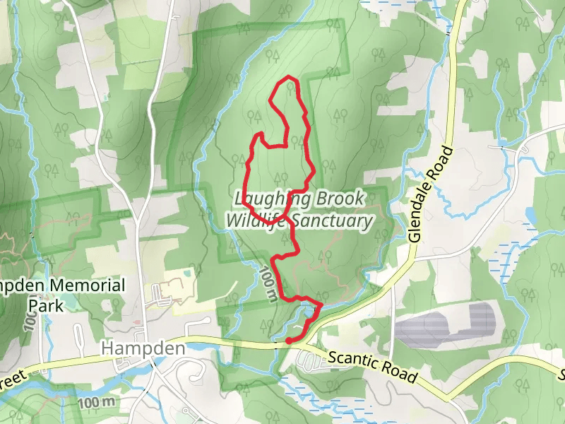 East Brook and Goodwill Pond Loop