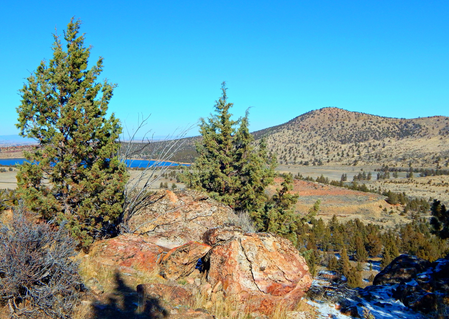 An image depicting the trail Rimrock Springs Trail and its surrounding area.