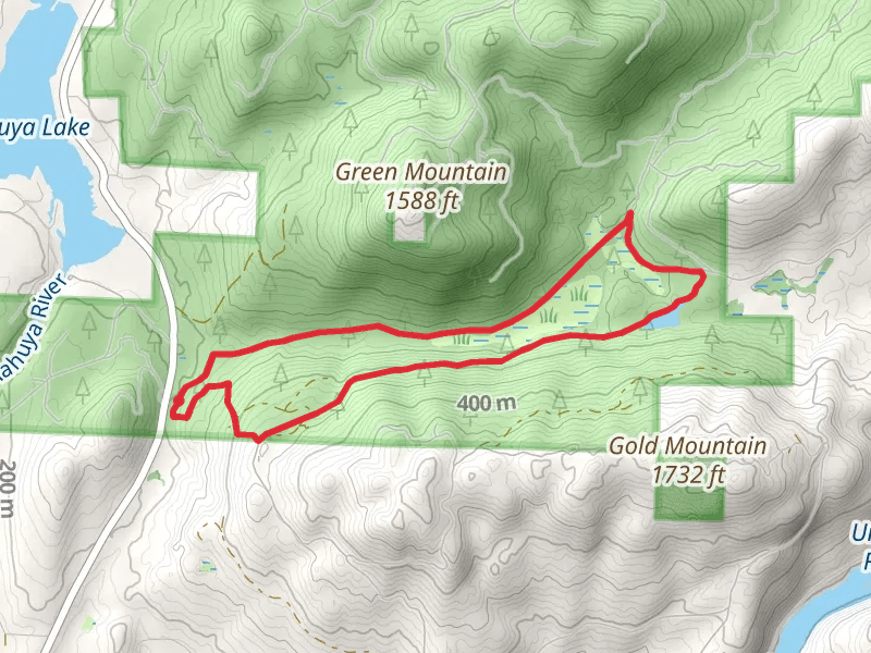 Gold Creek and Tin Mine Loop Trail