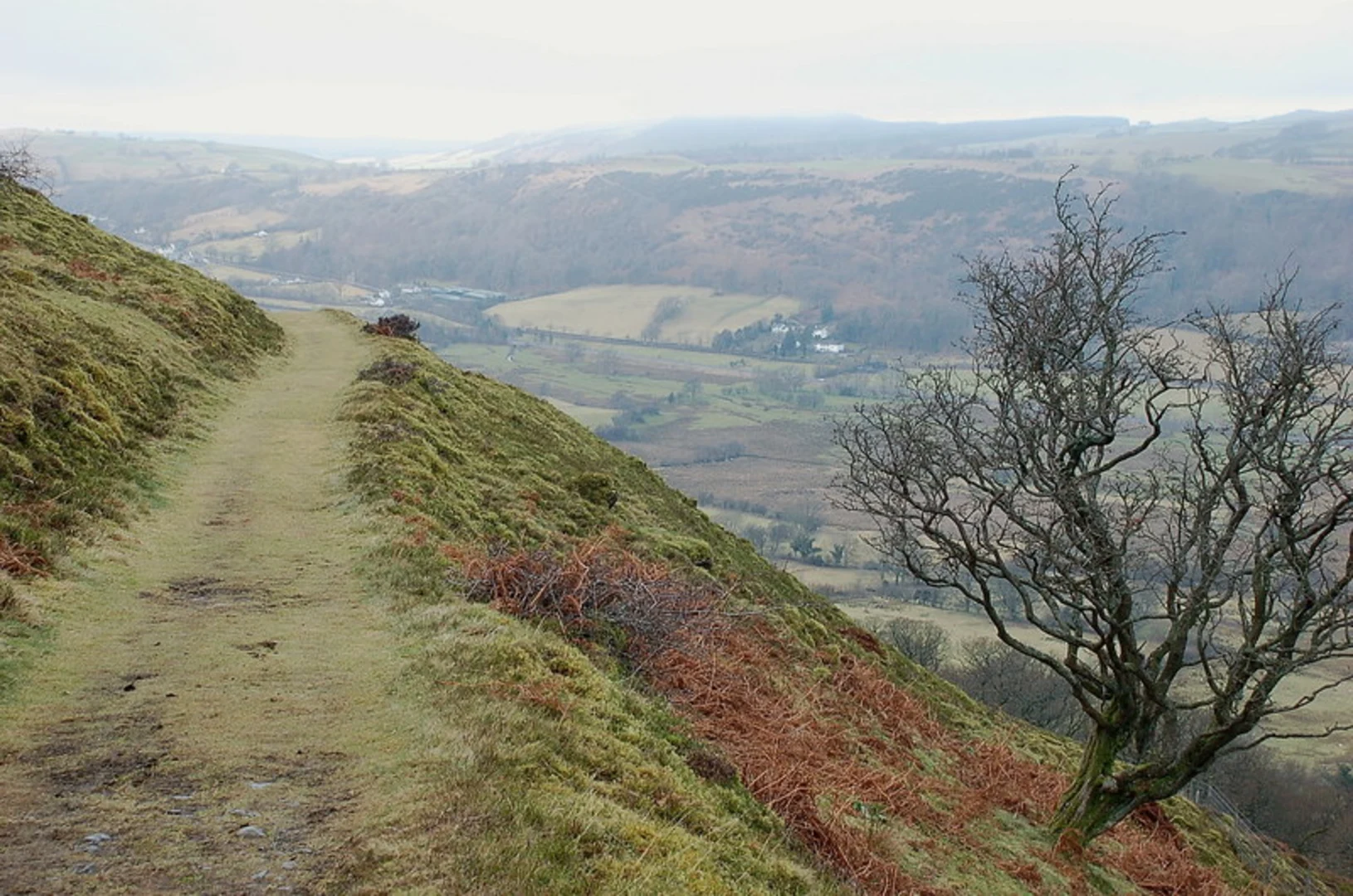 Ling Fell and Sale Fell Loop | Cumberland | England