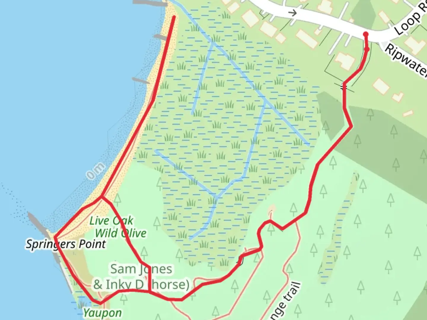 An image depicting the trail Jim Stephenson Nature Trail Springer's Point and its surrounding area.