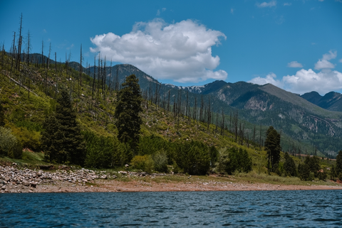 First Fork Trail