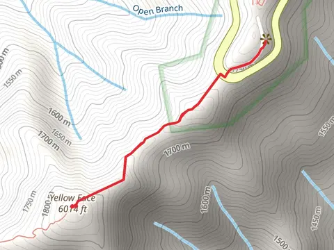 Yellow Face from Waterrock Knob Road