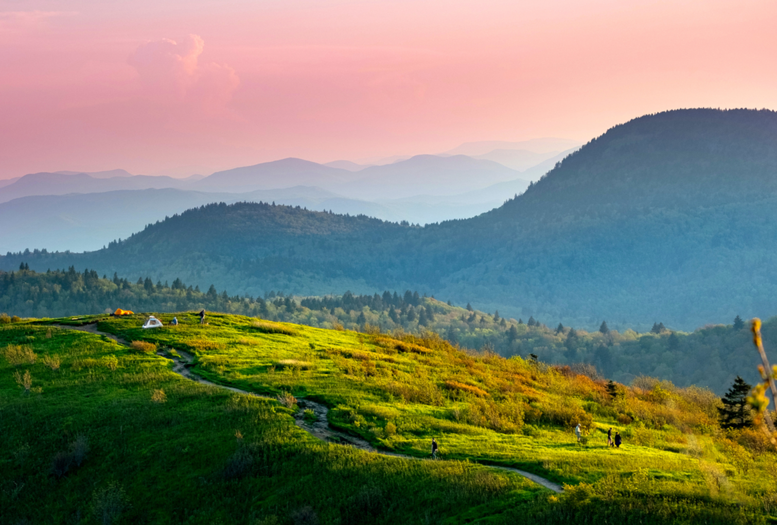An image depicting the trail Sam Knob Trail and its surrounding area.