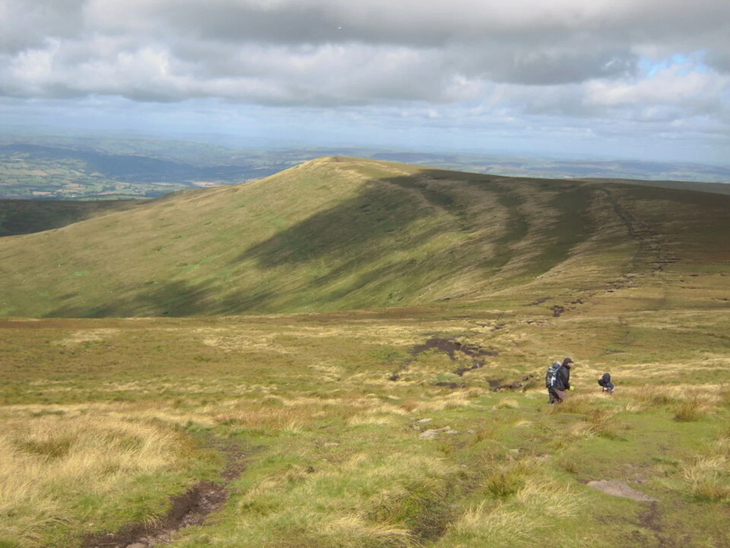 An image depicting the trail Dragons Back Loop and its surrounding area.