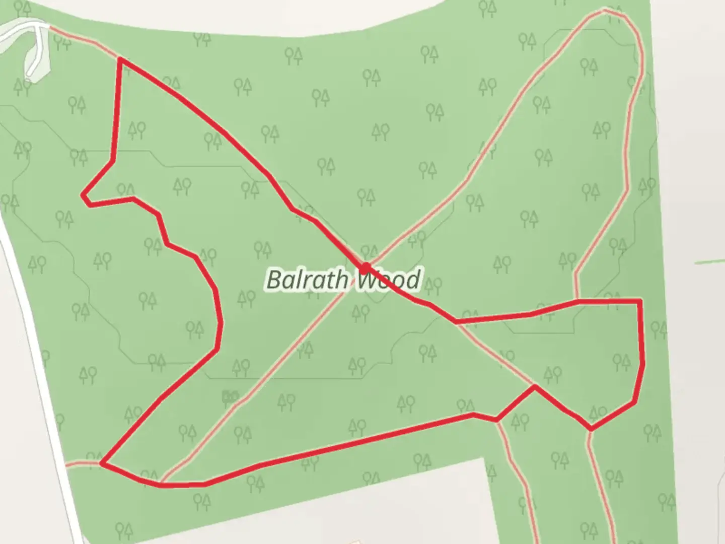 An image depicting the trail Balrath Wood - Nature Walk and its surrounding area.