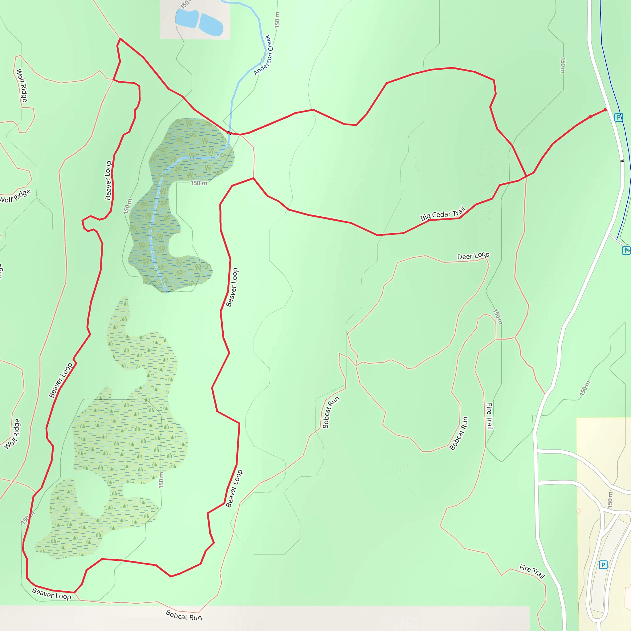 Beaver Loop and Big Cedar Trail | Kitsap County | Washington