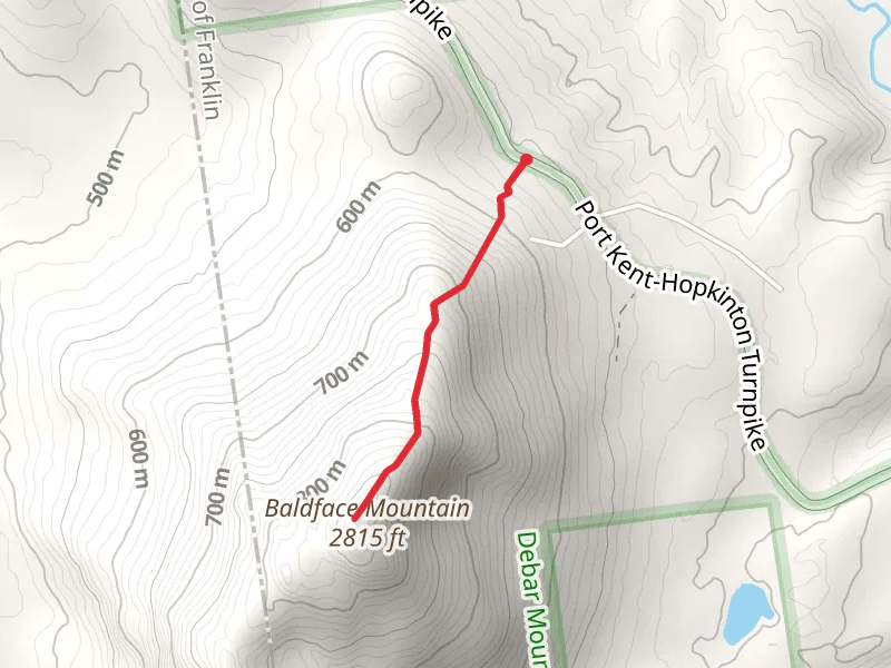 Baldface Mountain Out and Back