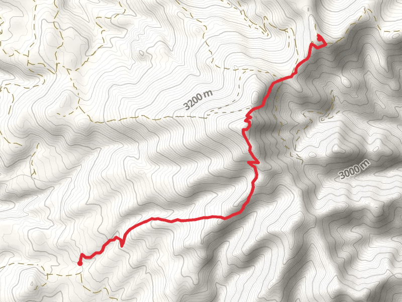 La Mosca Lookout and Mount Taylor via Continental Divide Trail