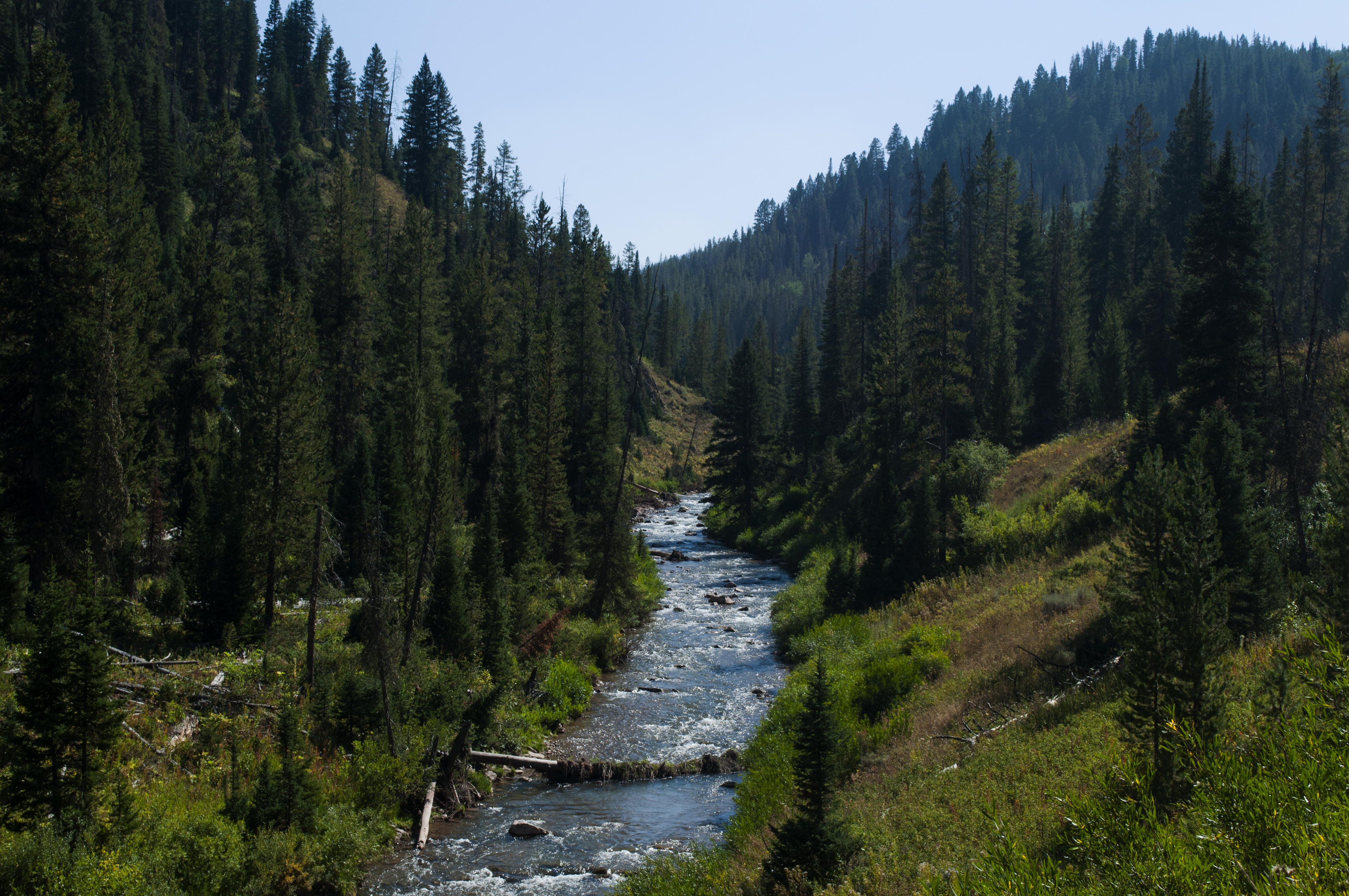 An image depicting the trail Bridger-Teton National Forest and its surrounding area.