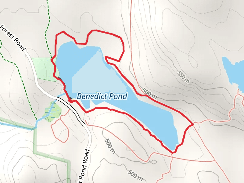 Benedict Pond Loop Trail