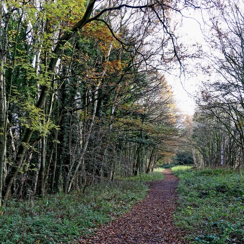 Kingswinford Railway Walk