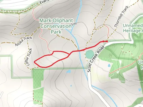 Skink Trail