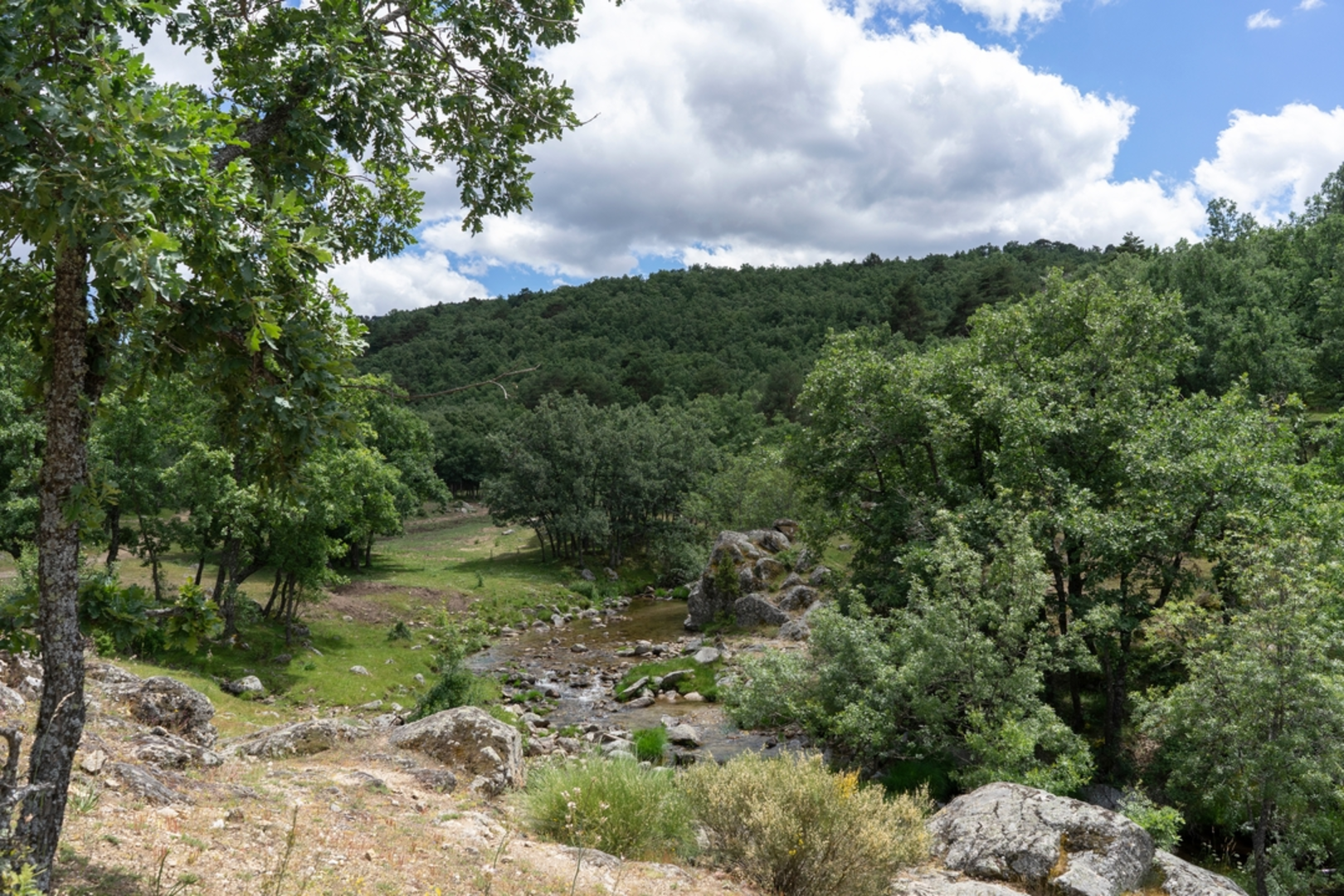 An image depicting the trail Rascafría to la Granja and its surrounding area.