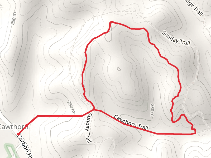 Sunday Loop via Cawthorn Trail