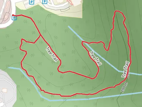 Tree Loop Trail