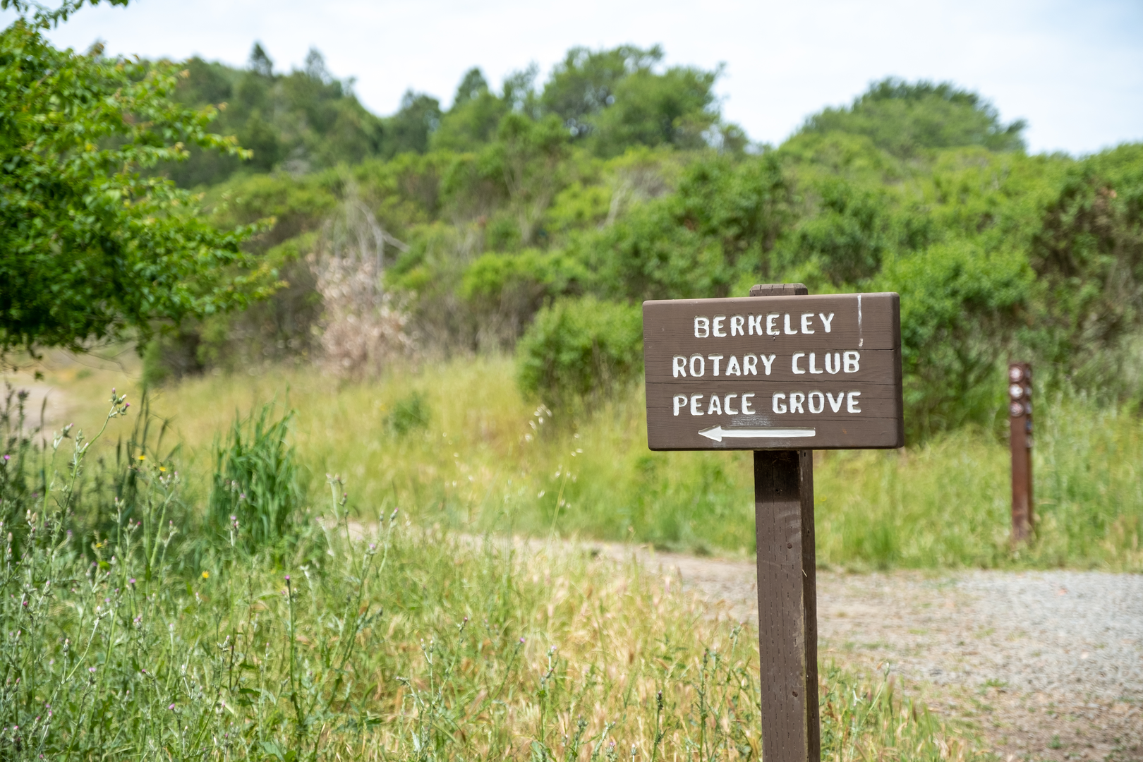 An image depicting the trail Wildcat Peak via Nimitz Way and its surrounding area.