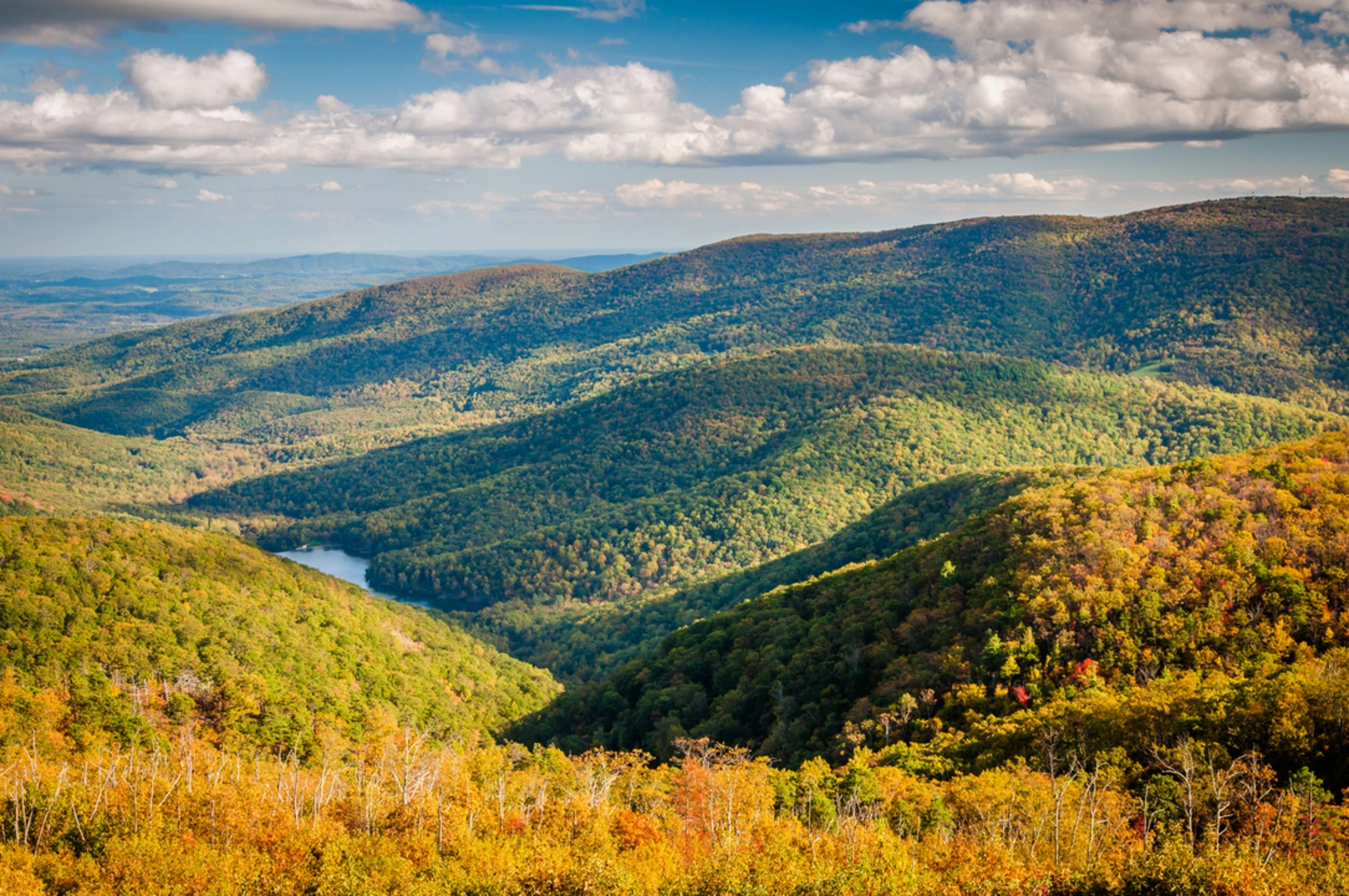 An image depicting the trail Charlottesville Reservoir Loop and its surrounding area.