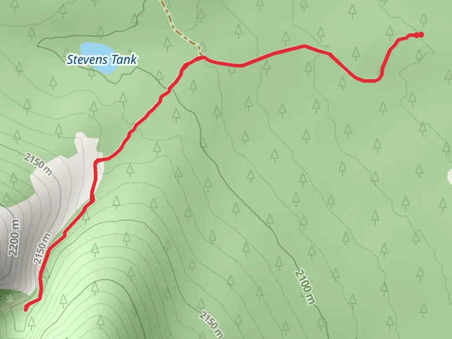 An image depicting the trail Red Mountain Trail and its surrounding area.