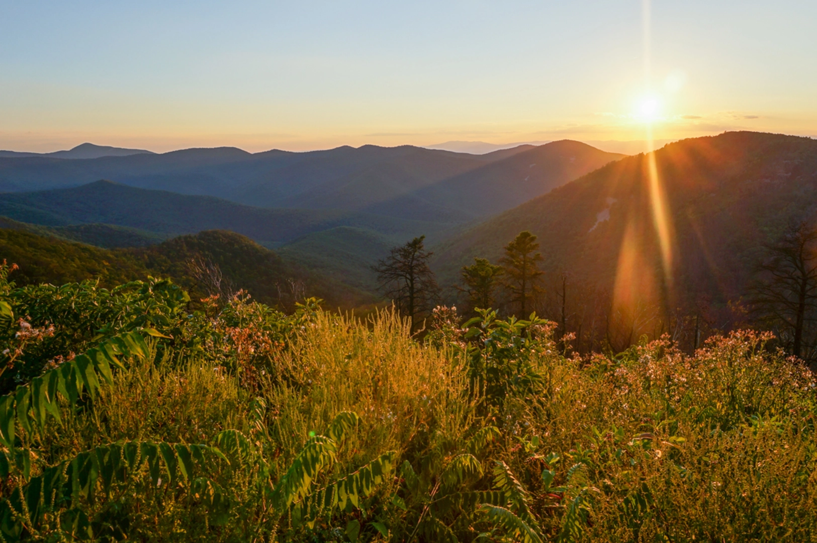 An image depicting the trail One Mile Run Trail and its surrounding area.